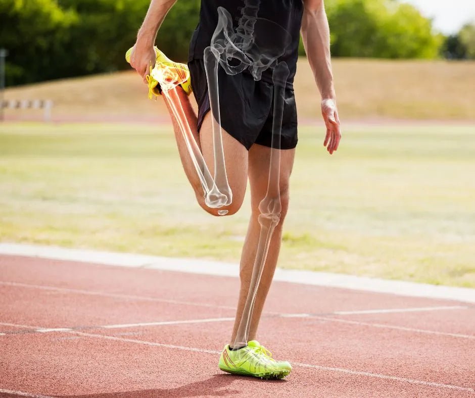 Articolazioni & Mobilità