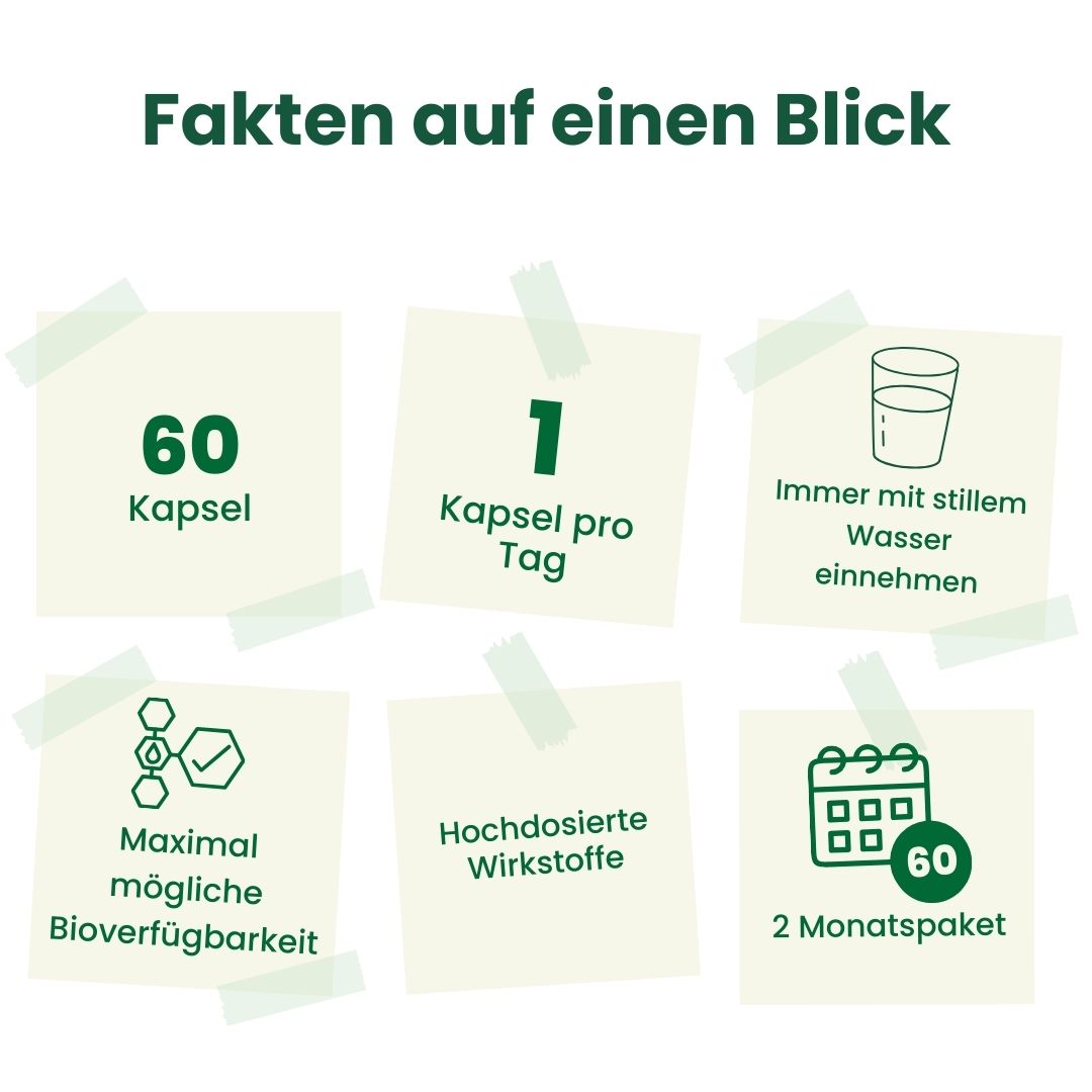 Astaksantyna - 60 kapsułek