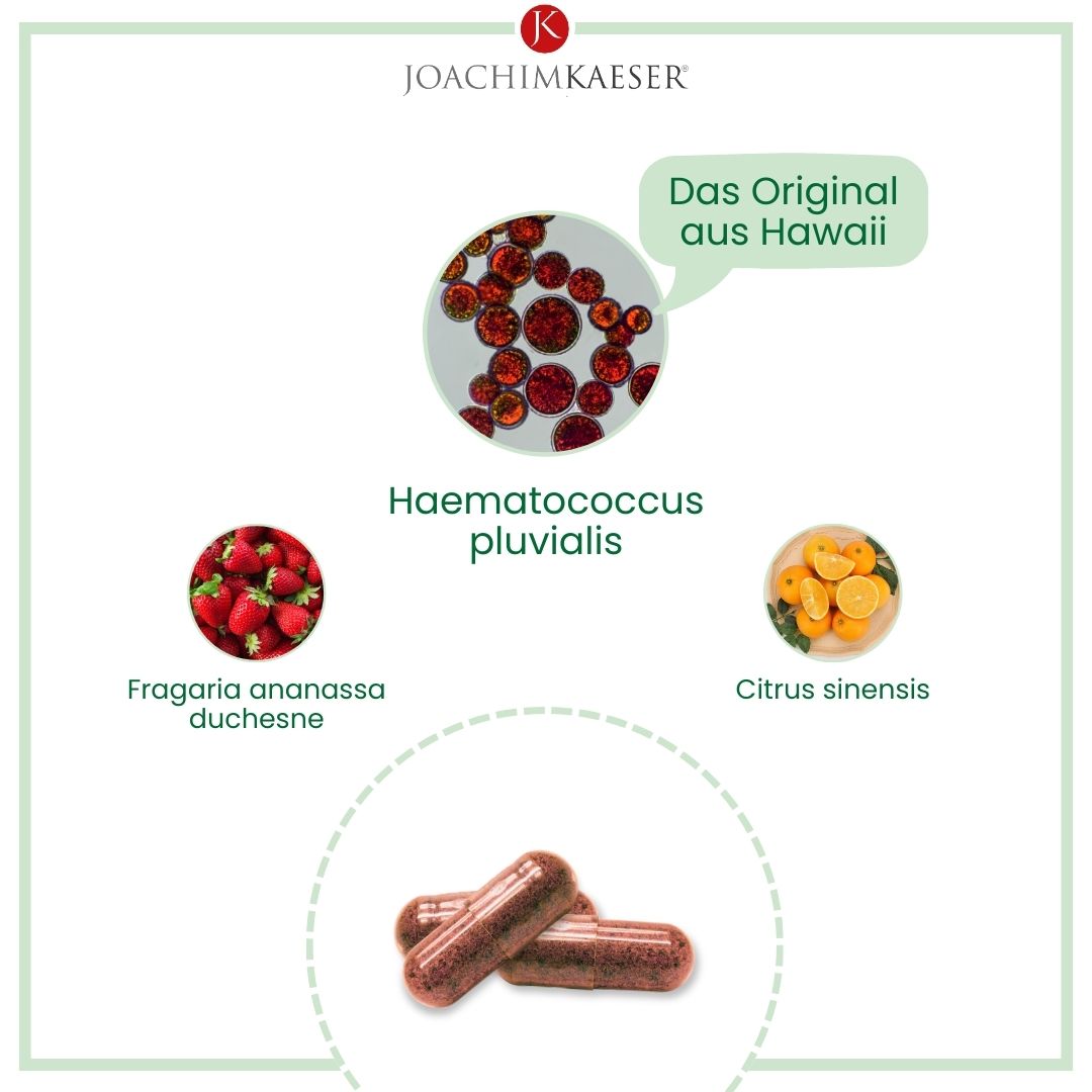 Astaksantyna - 60 kapsułek