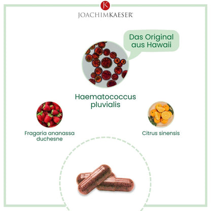 Astaksantyna - 60 kapsułek