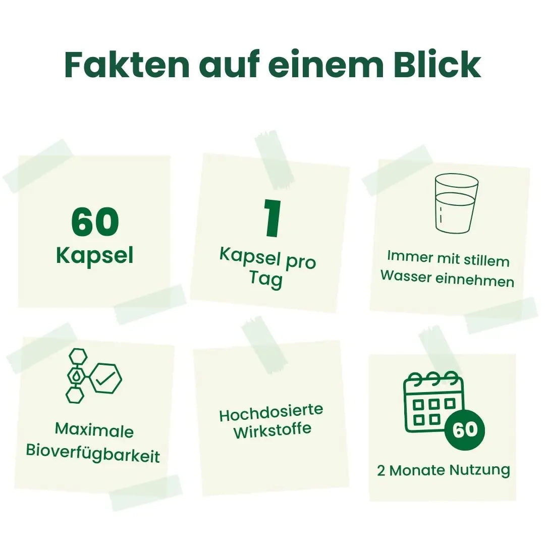 Weihrauch 2.0