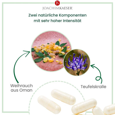 Weihrauch 2.0